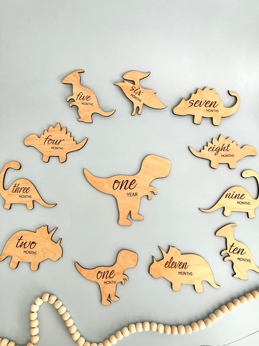 Dinosaur Milestone Set